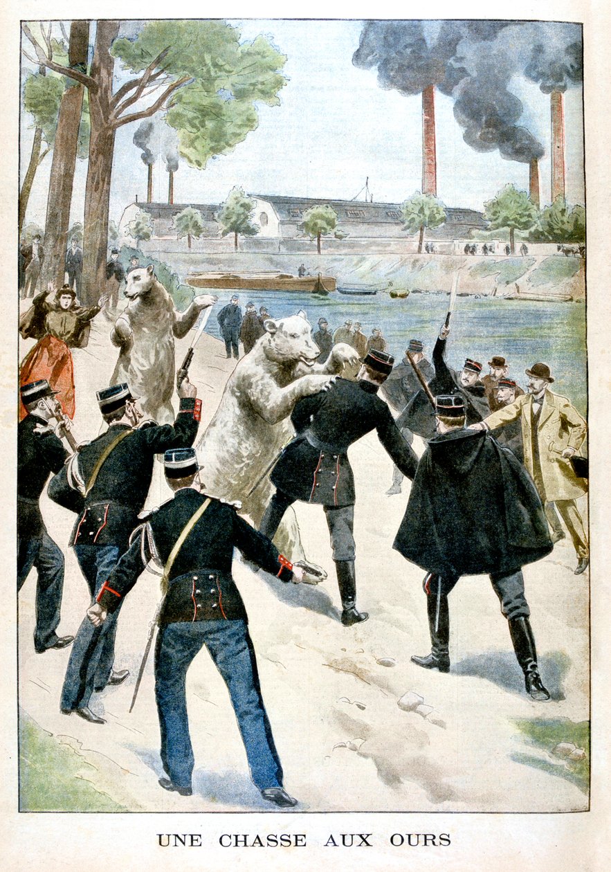 Jagt på bjørne, 1901 af Unbekannt