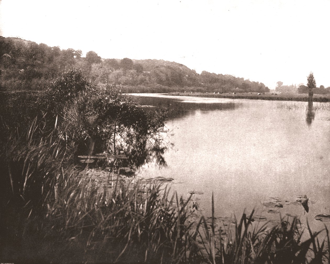 Hurley Reach, Themsen mellem Bisham og Medmenham, Buckinghamshire, 1894. af Unbekannt