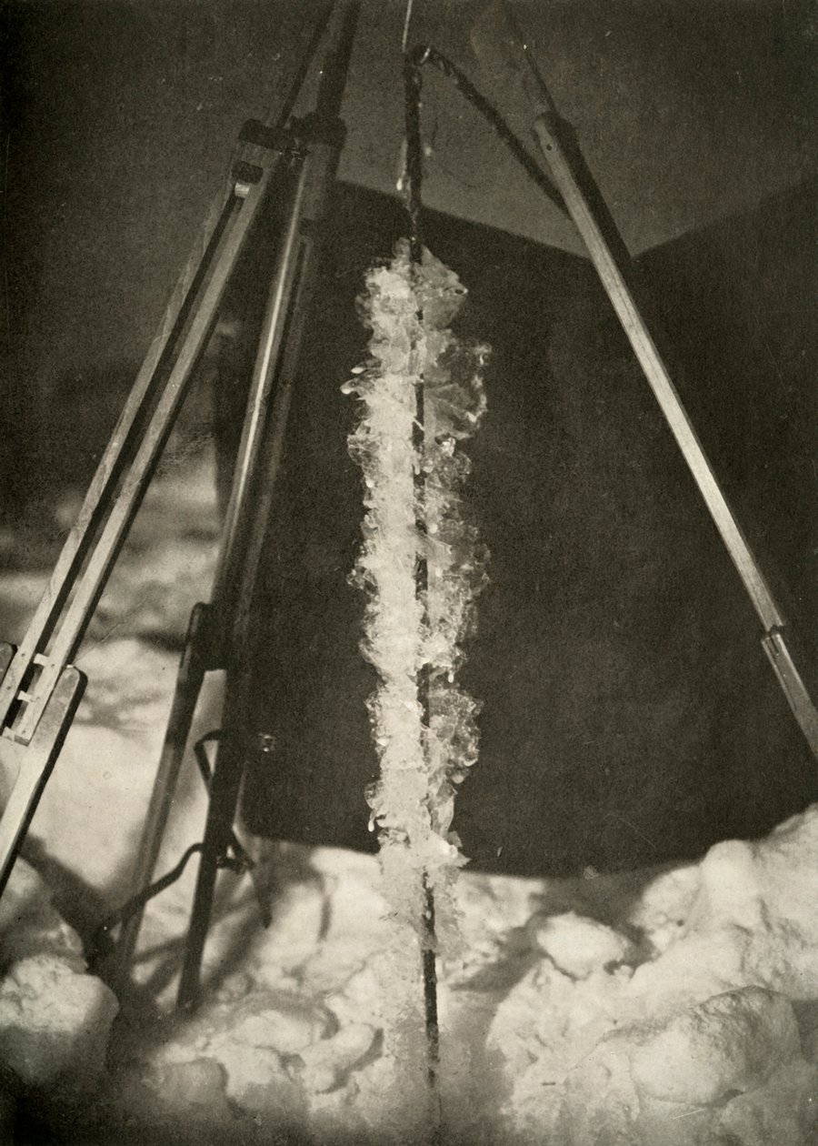 Iskrystaller dannet på linjen af en fiskefælde, c1908, 1909 af Unbekannt