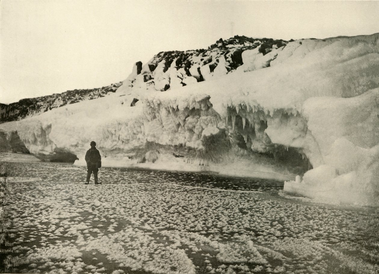 Isblomster på nydannet havis tidligt om vinteren, c1908, 1909. af Unbekannt