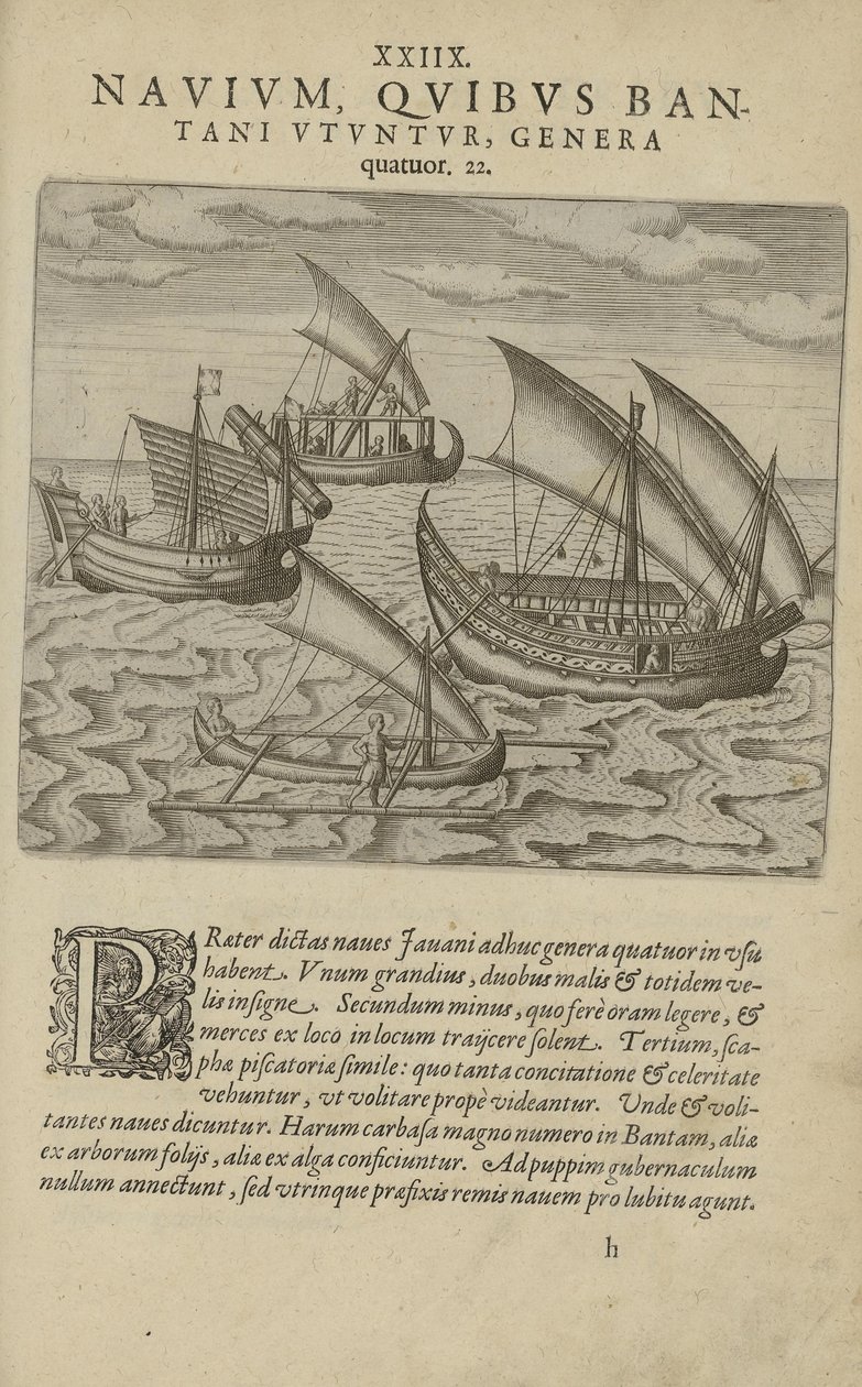 Illustration hentet fra bogen India Orientalis af ukendt forfatter og udgivet af Excudebat Matthaeus Beckerus af Unbekannt