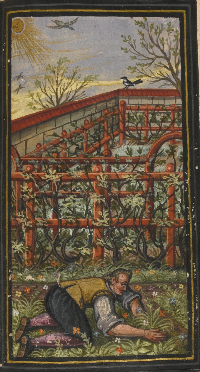 Illustration til Det evige livs vidunderlige sommertid af Jacob Zader, 1603 af Unbekannt