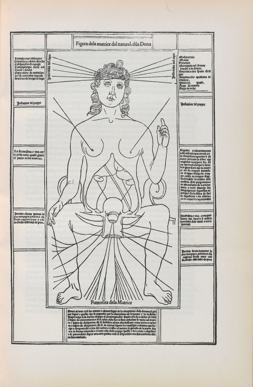 Illustration fra Fasciculo di medicina af Johannes de Ketham, 1493. af Unbekannt