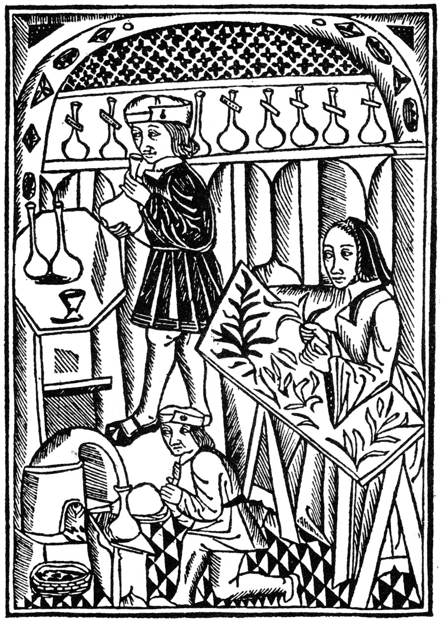 Illustration fra The Owner of Things, 1500 1964 af Unbekannt