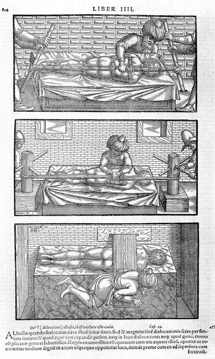 Illustration fra Avicenna, 1556 af Unbekannt
