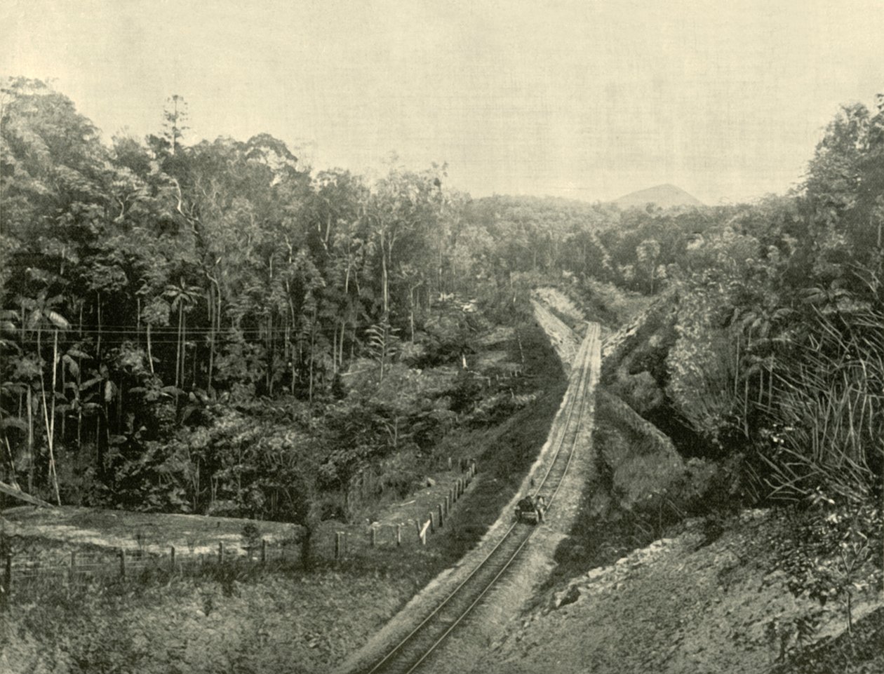 I Blackall Ranges, 1901. af Unbekannt