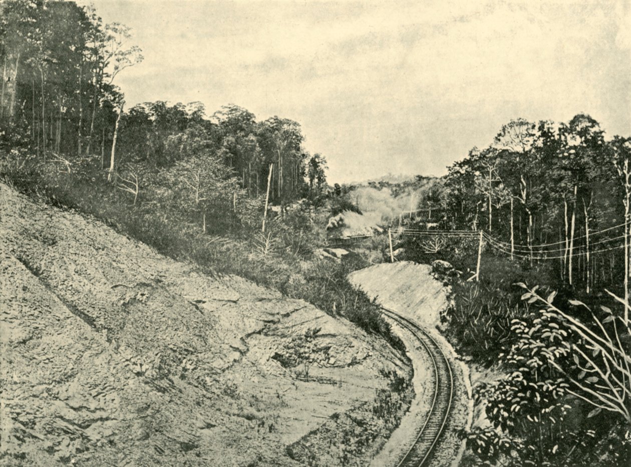 I Blackall Ranges, 1901. af Unbekannt