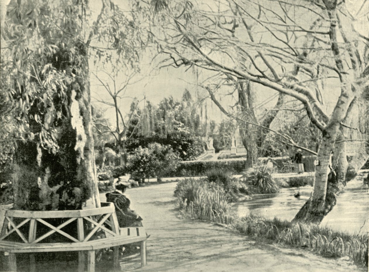 I den botaniske have, Adelaide, 1901. af Unbekannt