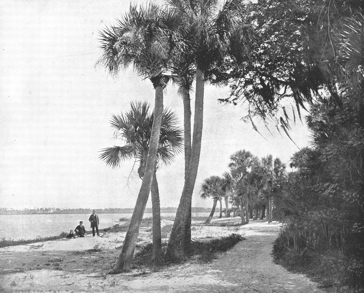 Indian River, Florida, USA, c1900. af Unbekannt