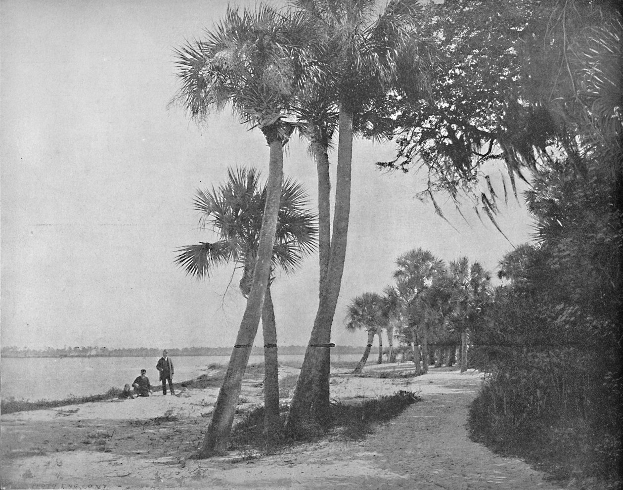 Indian River, Florida, c1897. af Unbekannt