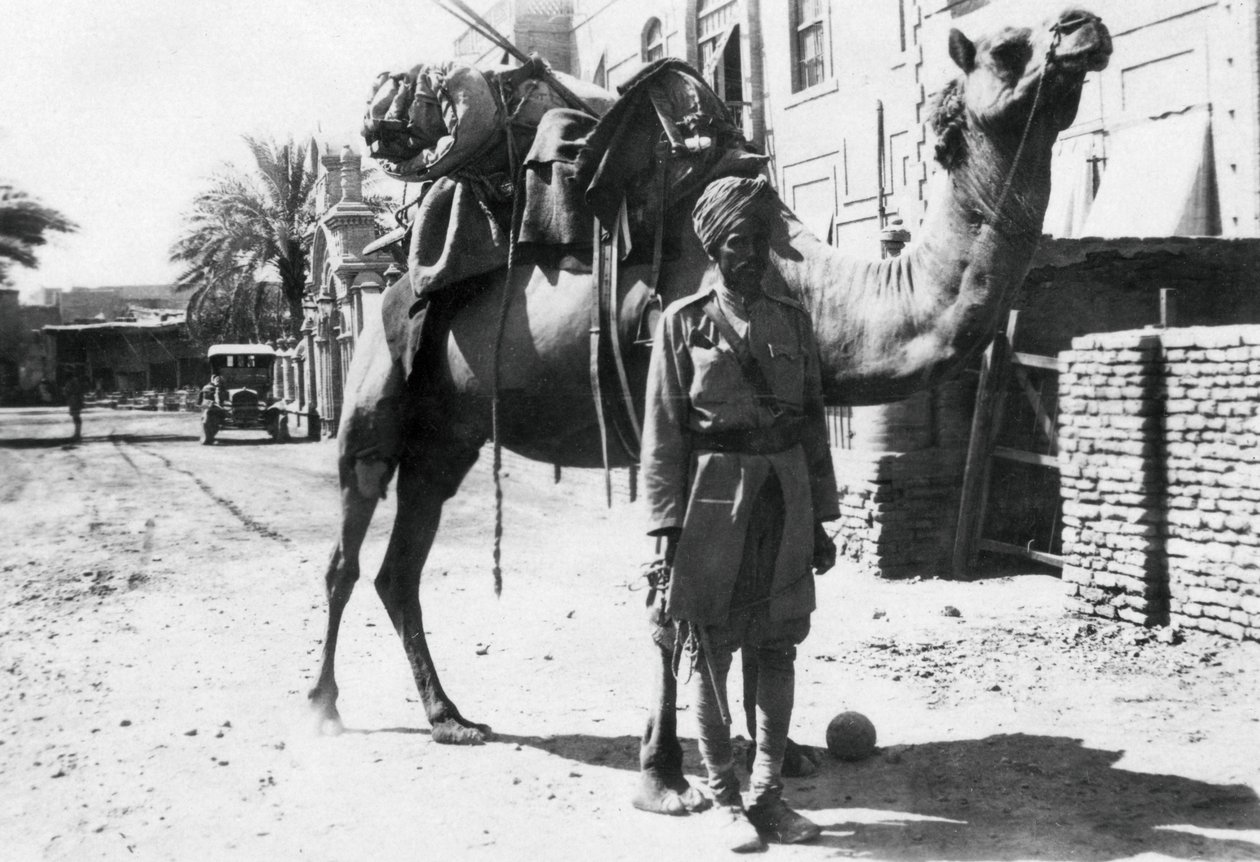 Indisk kameltrooper, Bagdad, 1918 af Unbekannt