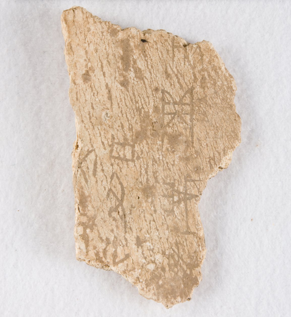 Indskrevet knoglefragment orakelknogle, Late Shang-dynastiet, ca. 1300-1050 fvt. af Unbekannt
