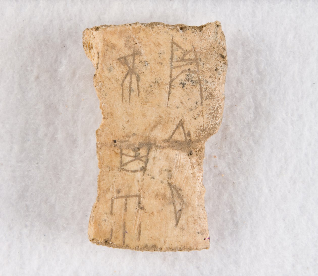 Indskrevet knoglefragment orakelknogle, Late Shang-dynastiet, ca. 1300-1050 fvt. af Unbekannt