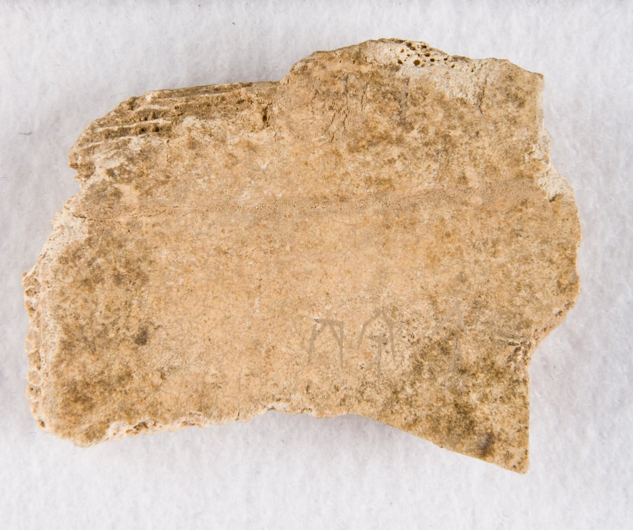 Indskrevet knoglefragment orakelknogle, Late Shang-dynastiet, ca. 1300-1050 fvt. af Unbekannt