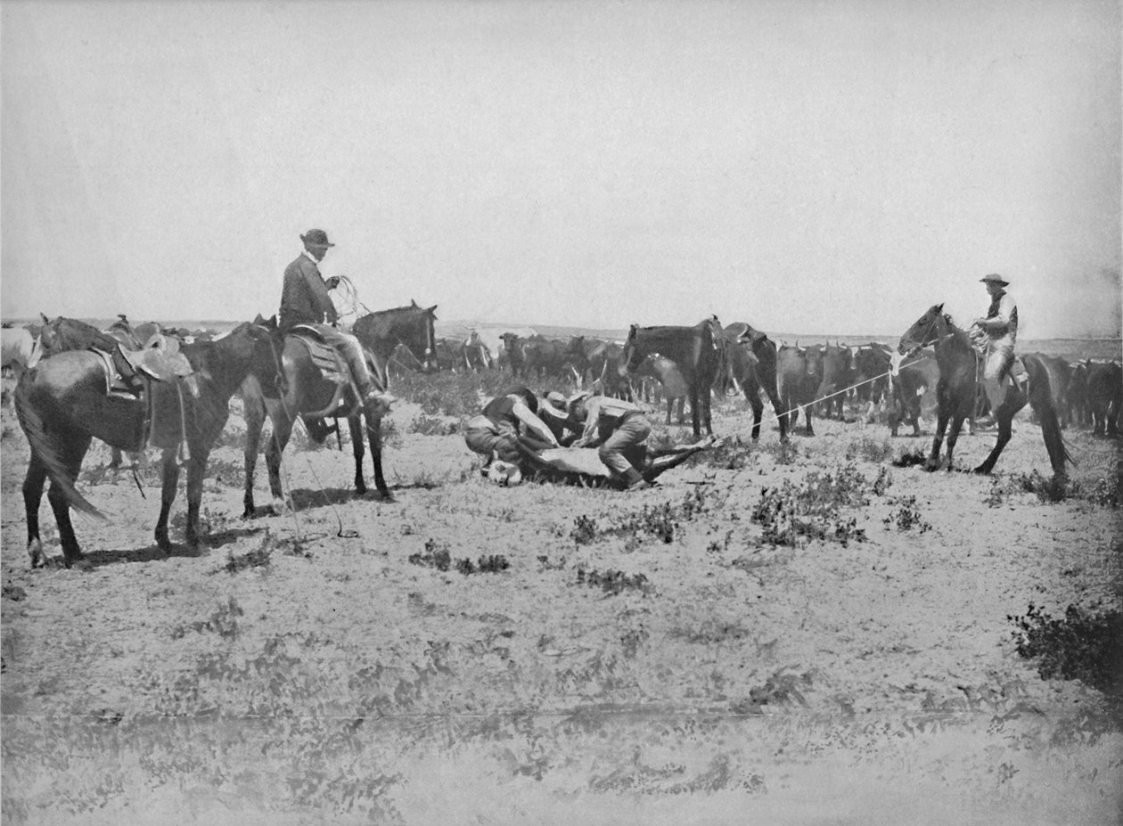 Inspecting a Brand on the Prairies, c1897. af Unbekannt