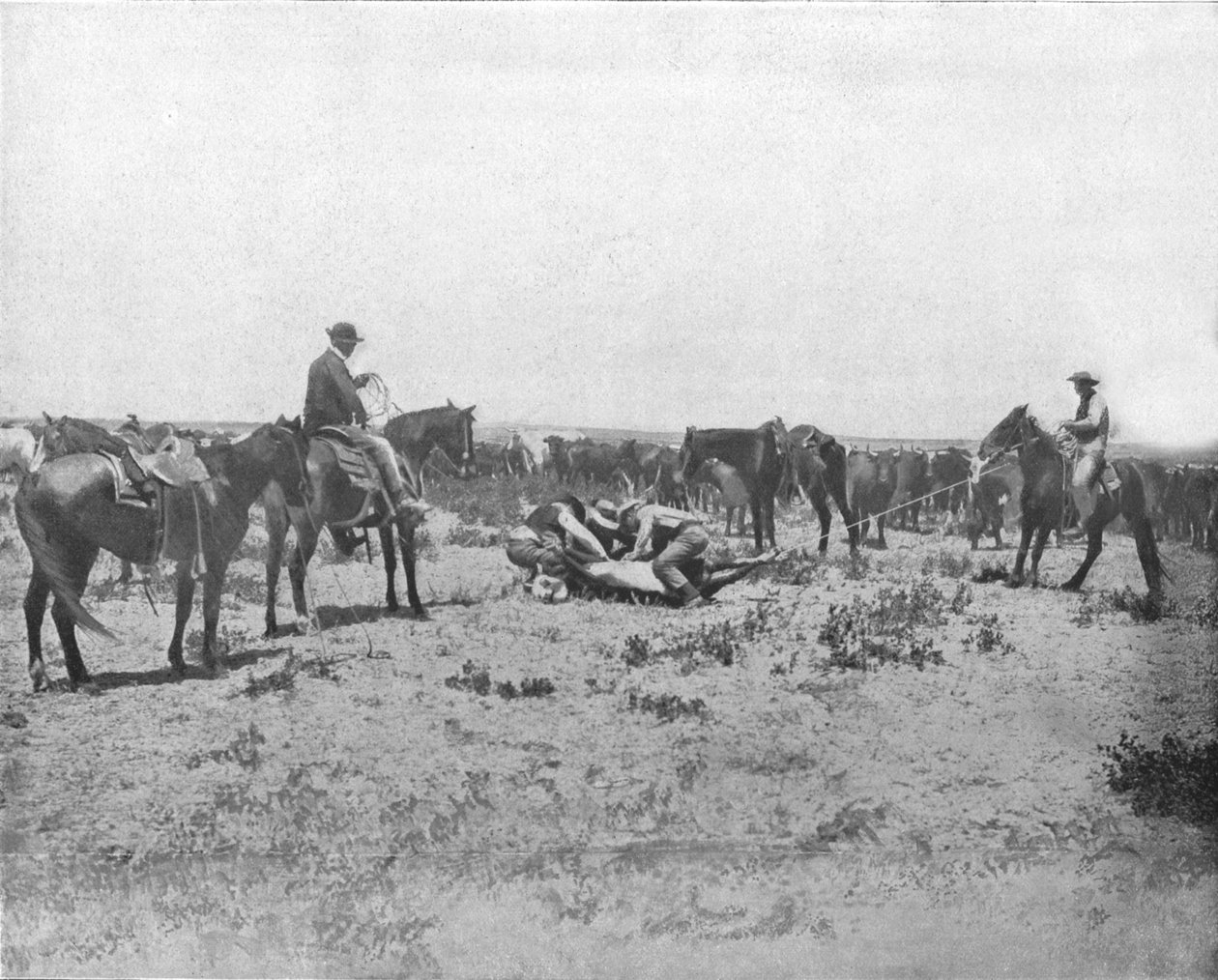 Inspicerer et mærke på Prairies, USA, c1900. af Unbekannt