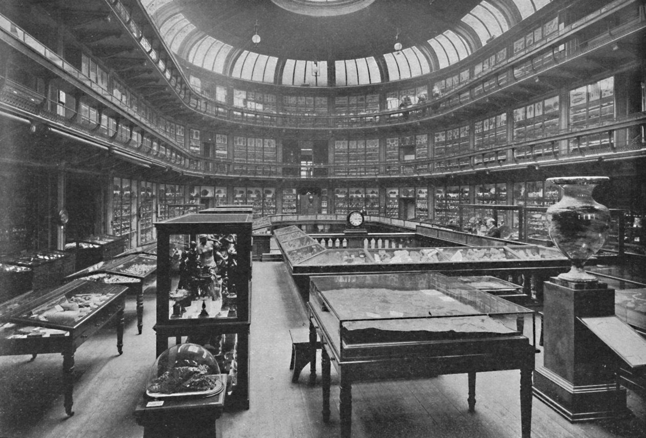Interiør af Geologisk Museum, Jermyn Street, 1904 af Unbekannt