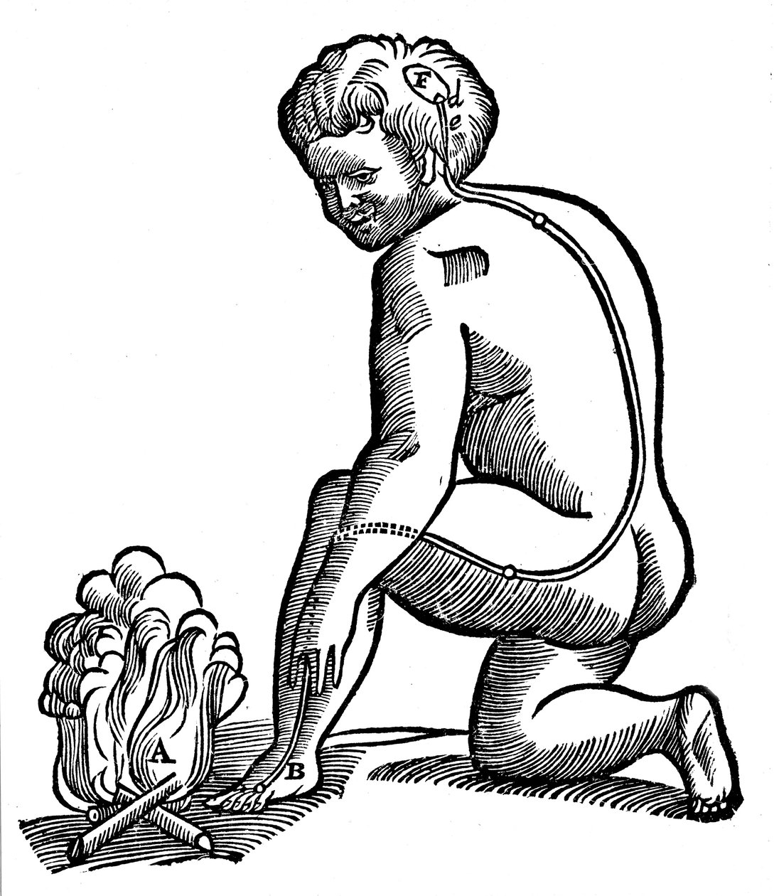 Ufrivillig bevægelse, Descartes idé om, hvordan impulser fra lemmerne når hjernen, 1692 af Unbekannt