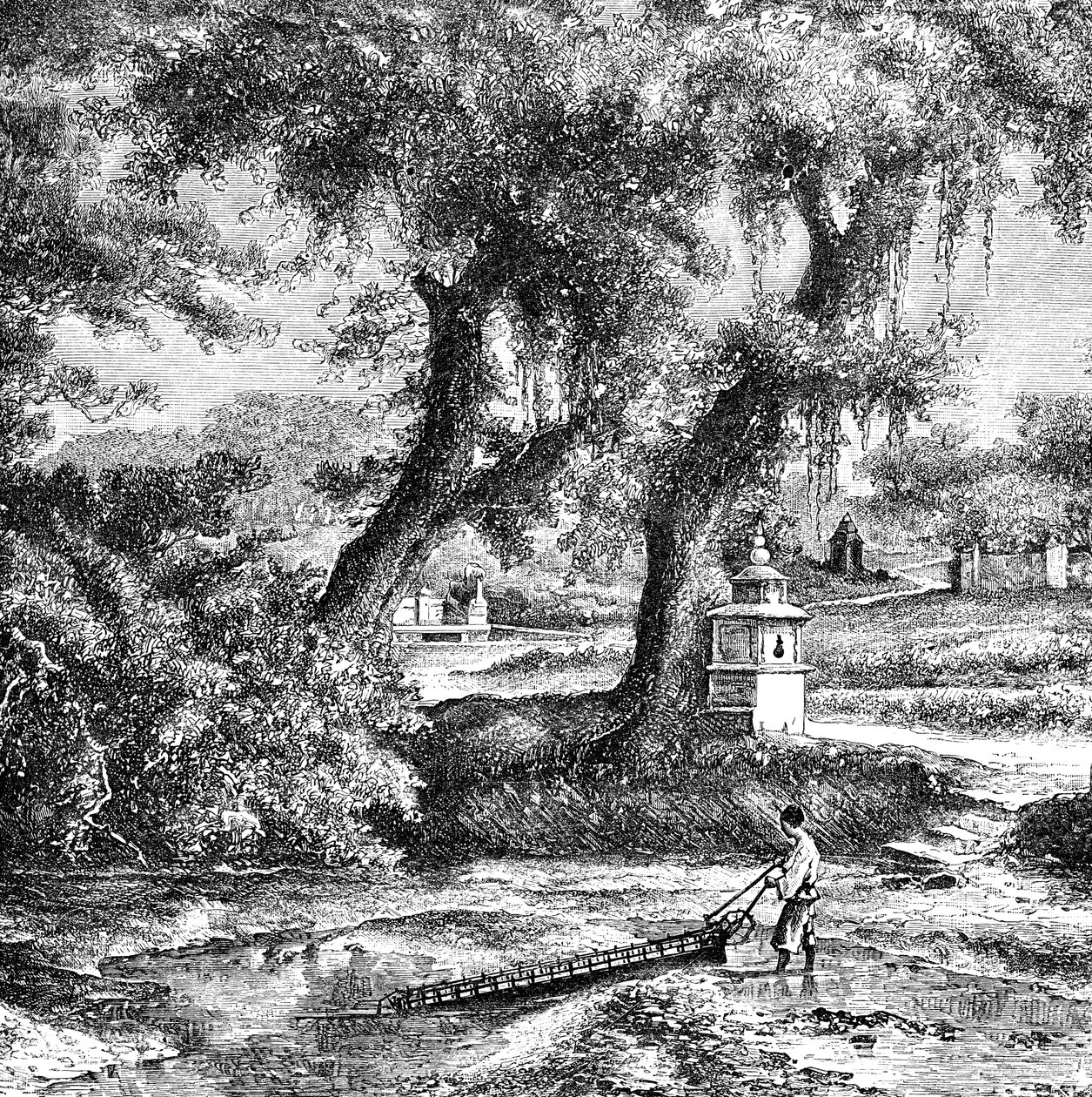 Vandingspumpe, Sydkina, c1890 af Unbekannt