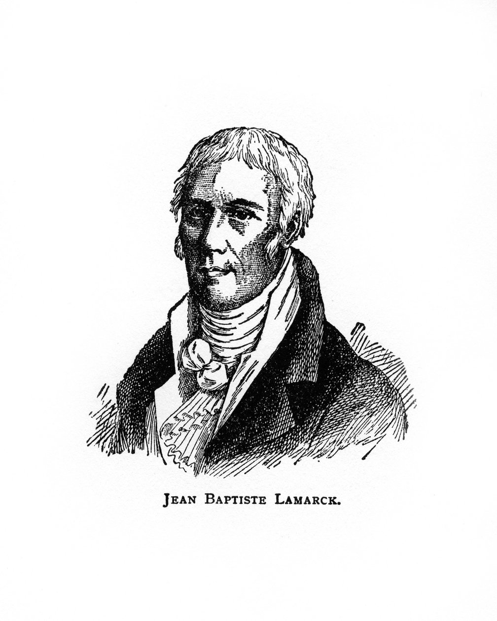 Jean-Baptiste Lamarck, fransk naturforsker, det 20. århundrede af Unbekannt
