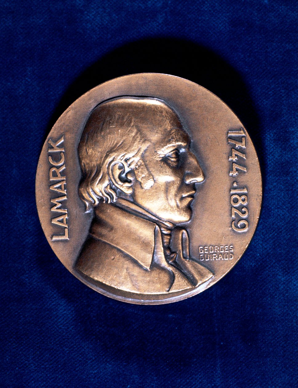 Jean Lamarck, fransk naturforsker af Unbekannt