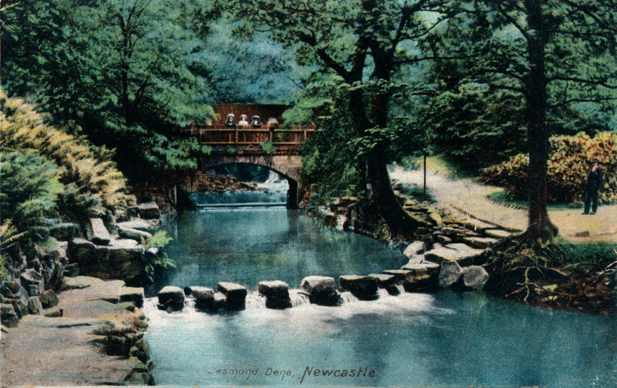 Jesmond Dene, Newcastle, c1905 af Unbekannt