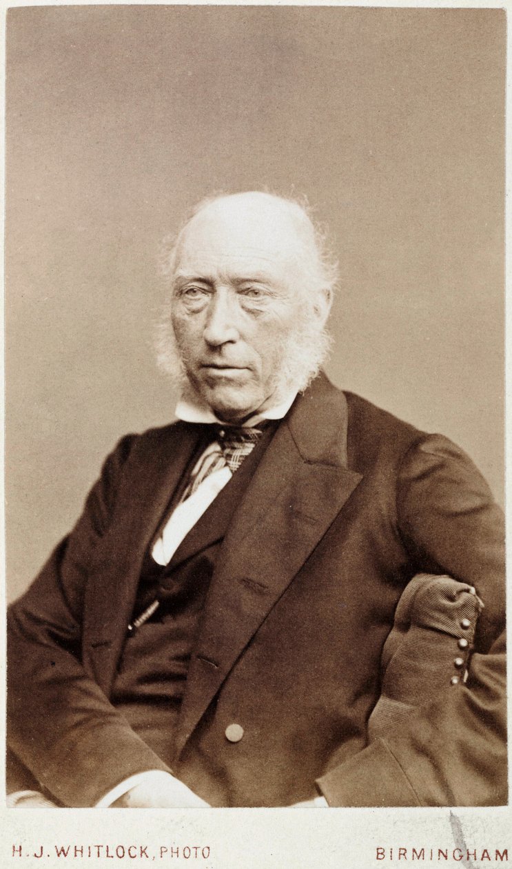 John Phillips, engelsk geolog, c 1870 af Unbekannt