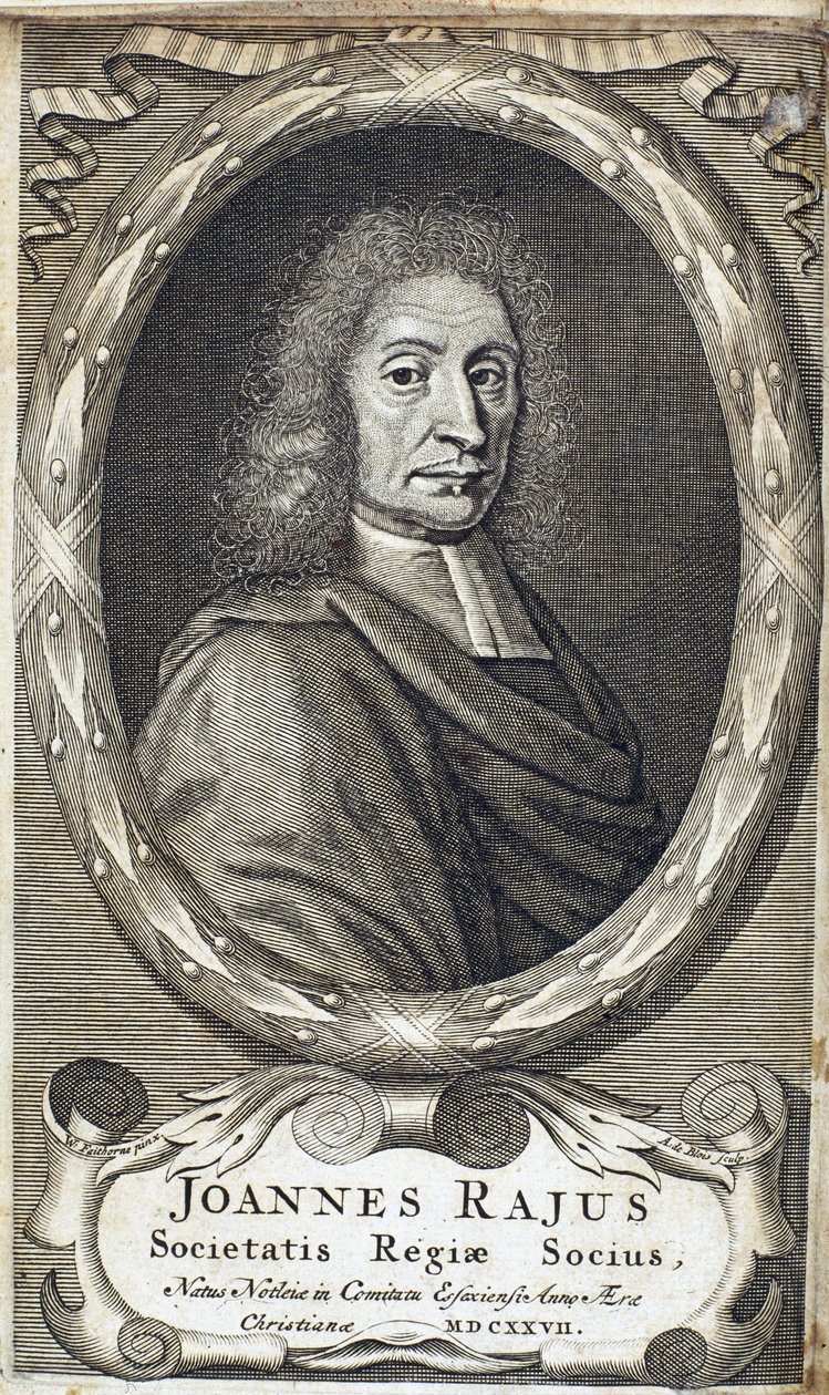 John Ray (Wray), engelsk naturforsker, ca. 1700 af Unbekannt