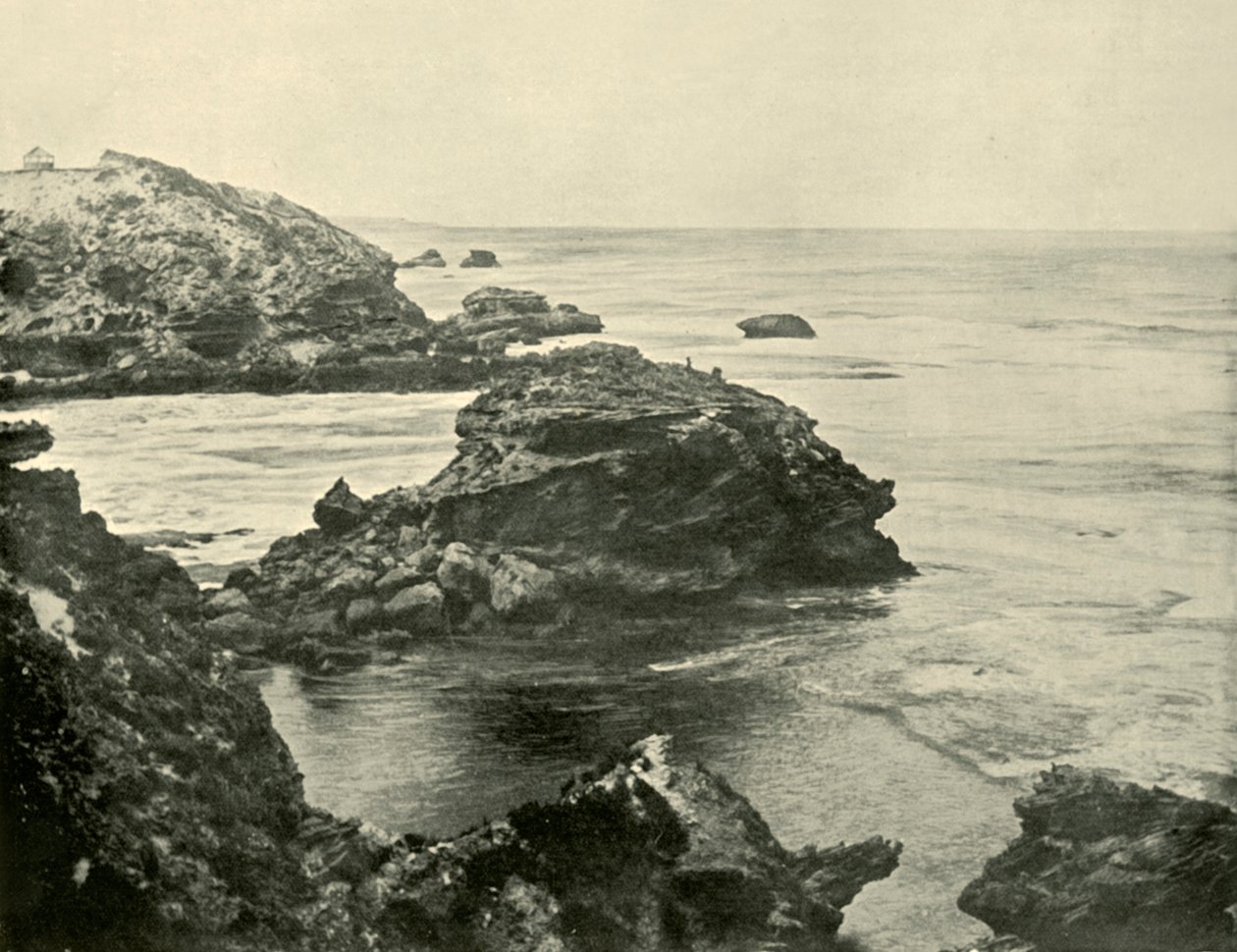 Jubilee Point, Back Beach, Sorrento, 1901. af Unbekannt