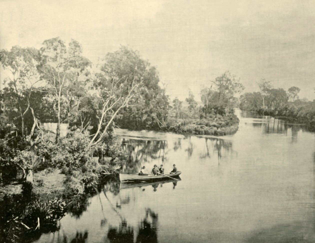 Junction of the Glengarry & Thompson Rivers, Victoria, 1901. af Unbekannt
