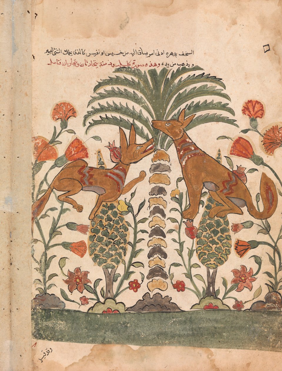 Kalila Upraiding Dimna, Folio fra en Kalila wa Dimna, 1700-tallet. af Unbekannt