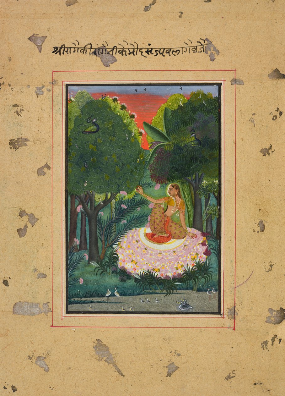 Commode Ragini, Folio fra en Ragamala, ca. 1770-1775. af Unbekannt