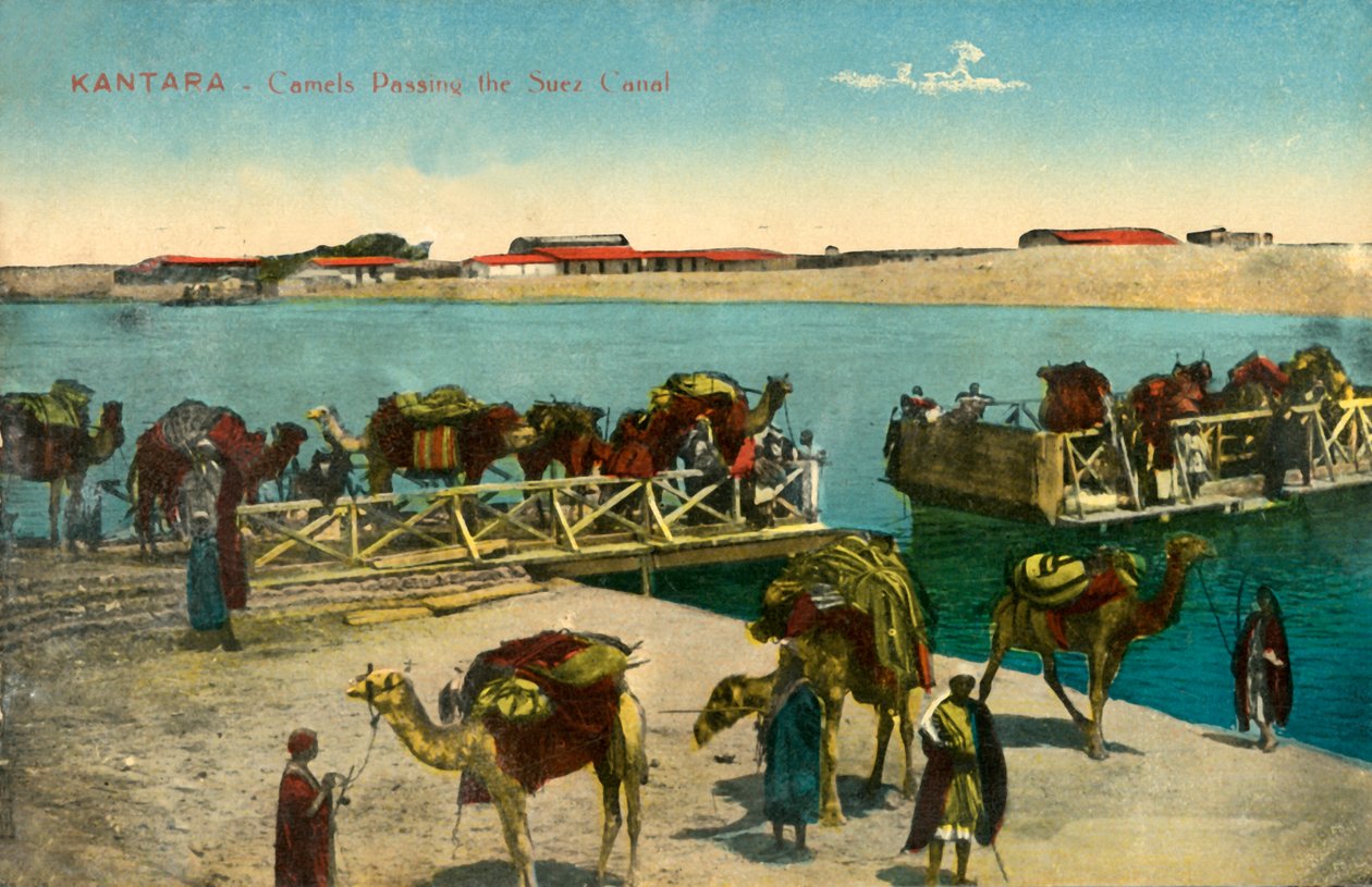 Kantara - Kameler passerer Suez-kanalen, c1918-c1939. af Unbekannt