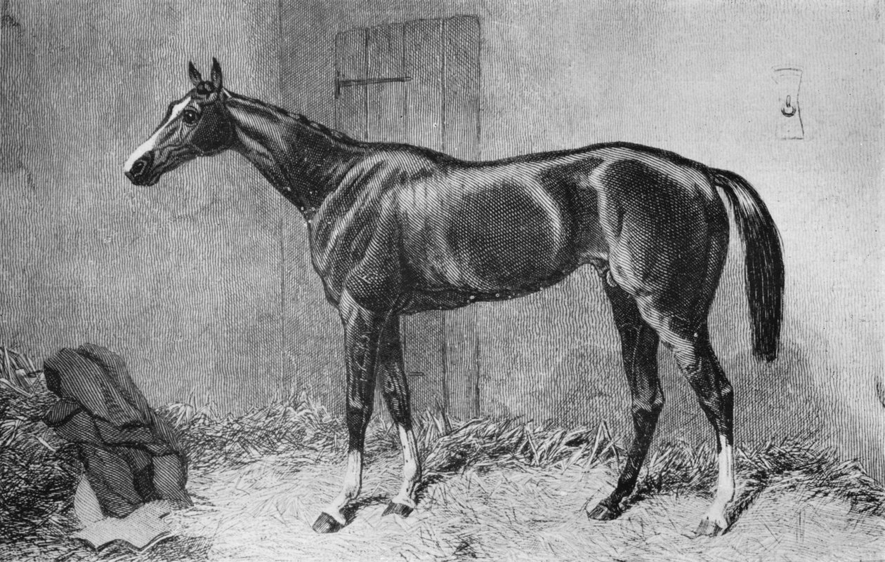 Kettledrum, c1860