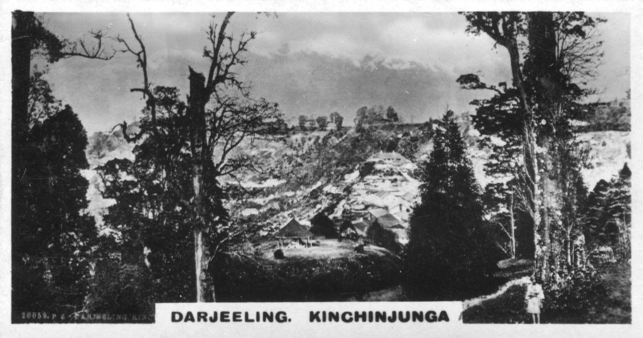 Kinchinjunga fra Beechwood, Darjeeling, Indien, c1925 af Unbekannt