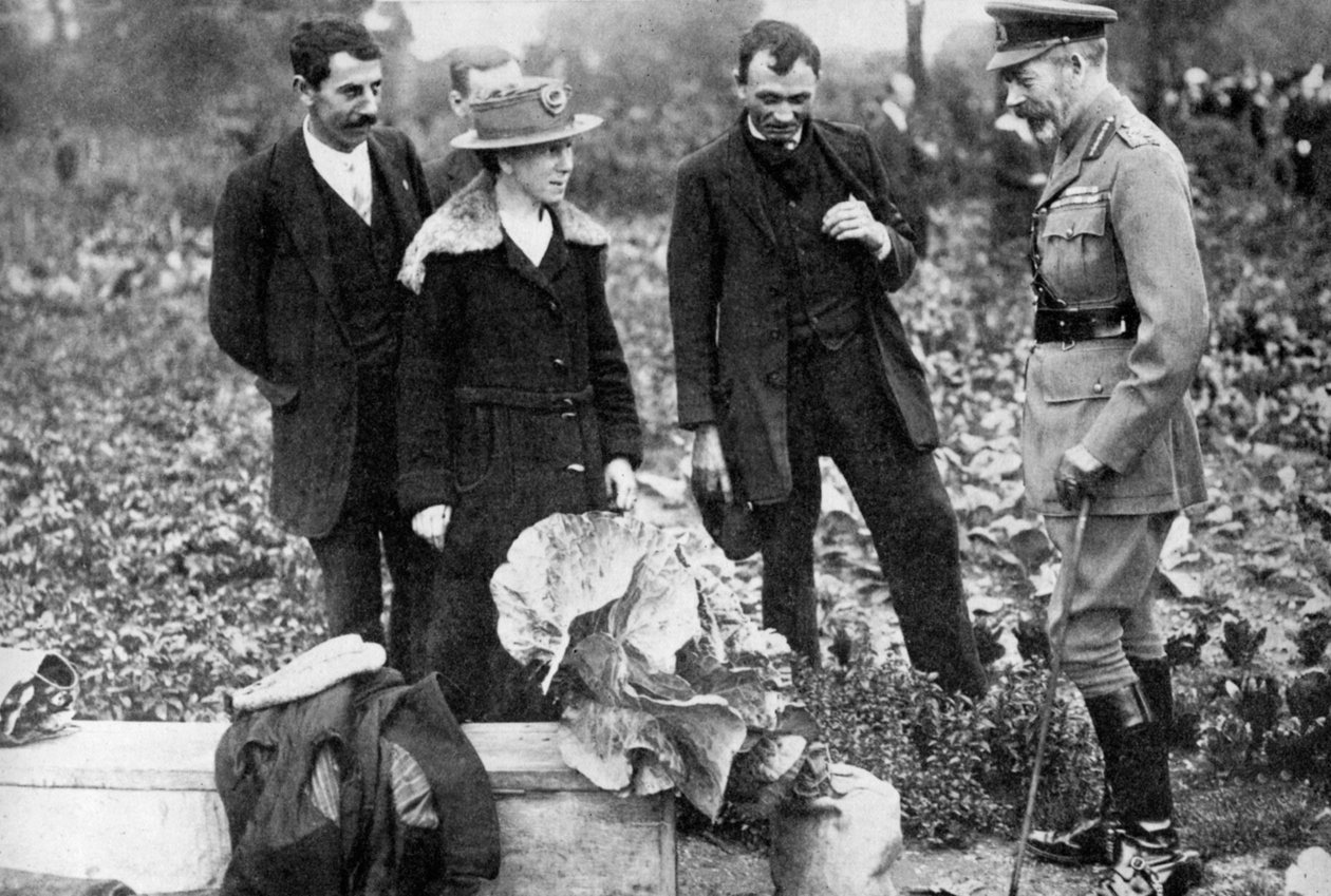 Kong George V beundrer kolonihaver på Clapham Common, London, c1910