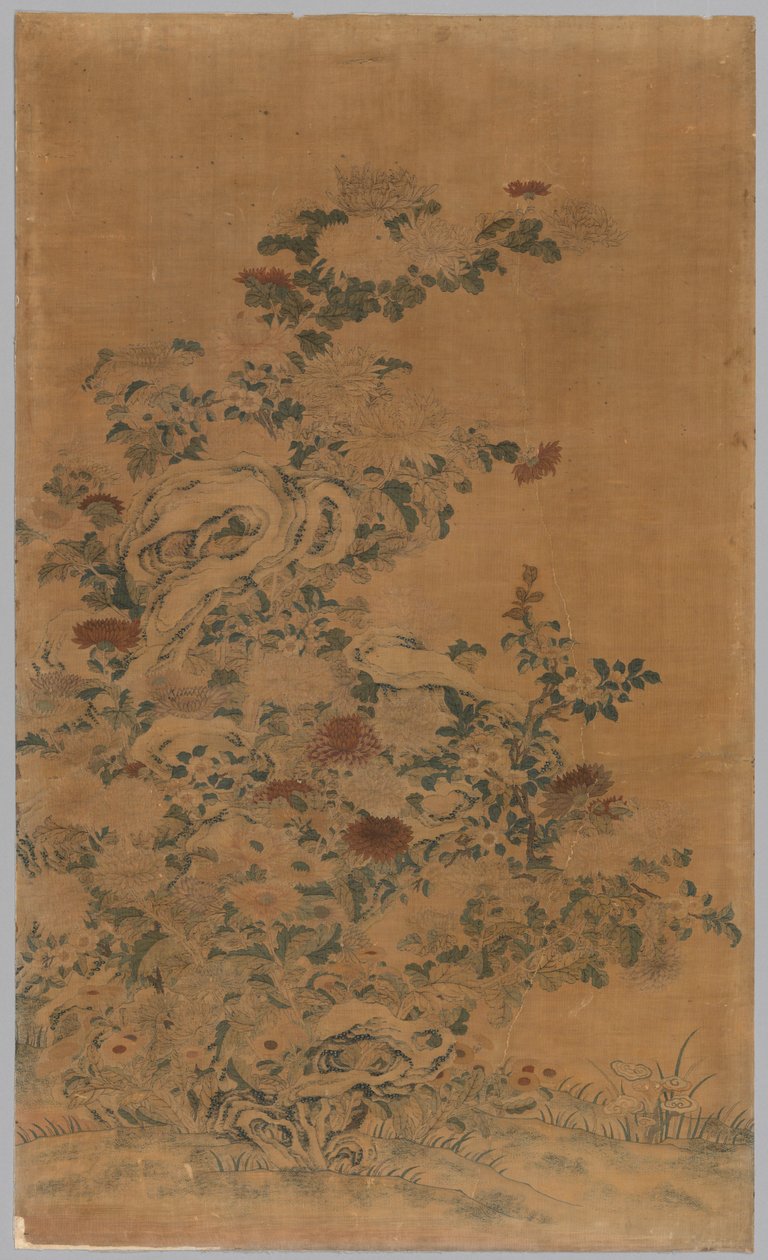 Ko Ssu Panel: Sten og krysantemum, 1700-1800-tallet. af Unbekannt