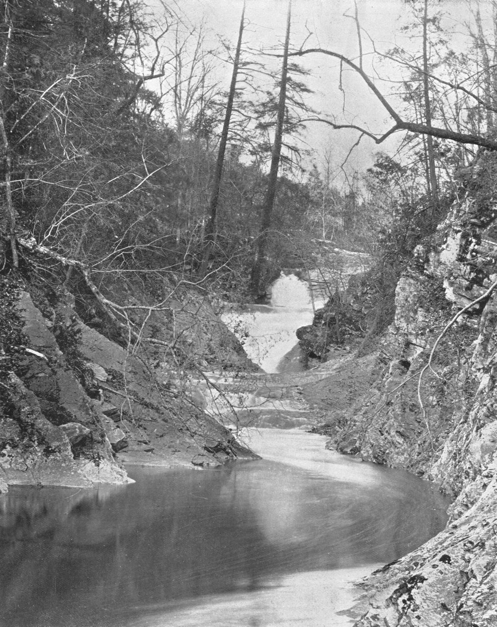 Lace Waterfalls and Dragons Pool, Natural Bridge, Virginia, USA, c1900. af Unbekannt
