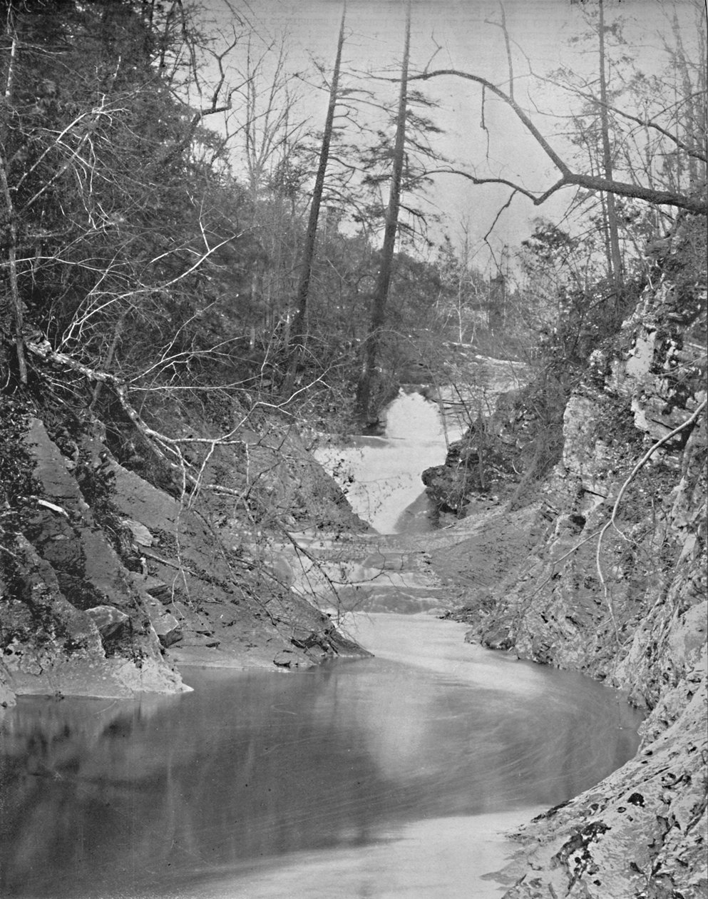 Lace Waterfalls and Dragons Pool, Natural Bridge, Virginia, c1897. af Unbekannt