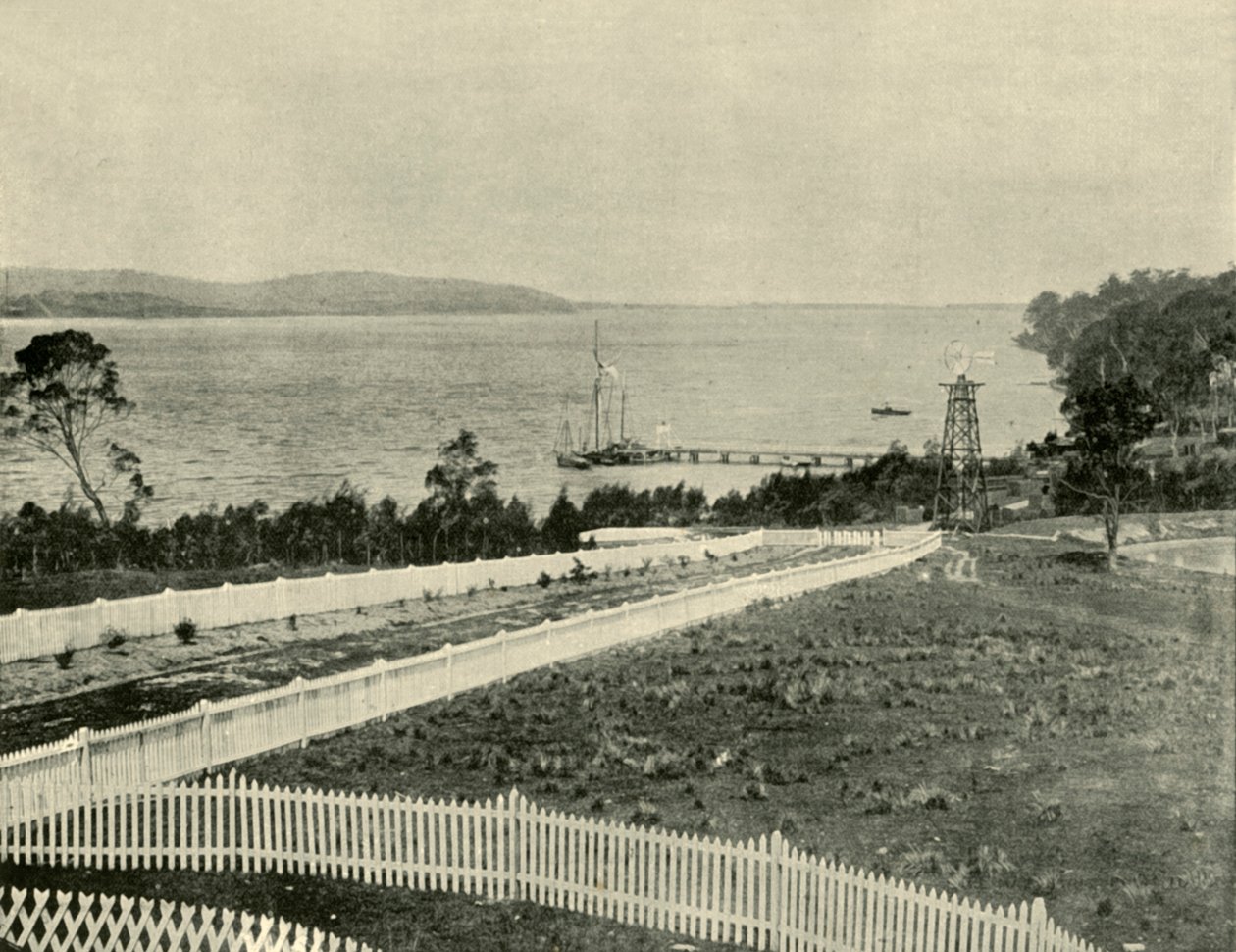 Lake Macquarie, fra Toronto, 1901. af Unbekannt