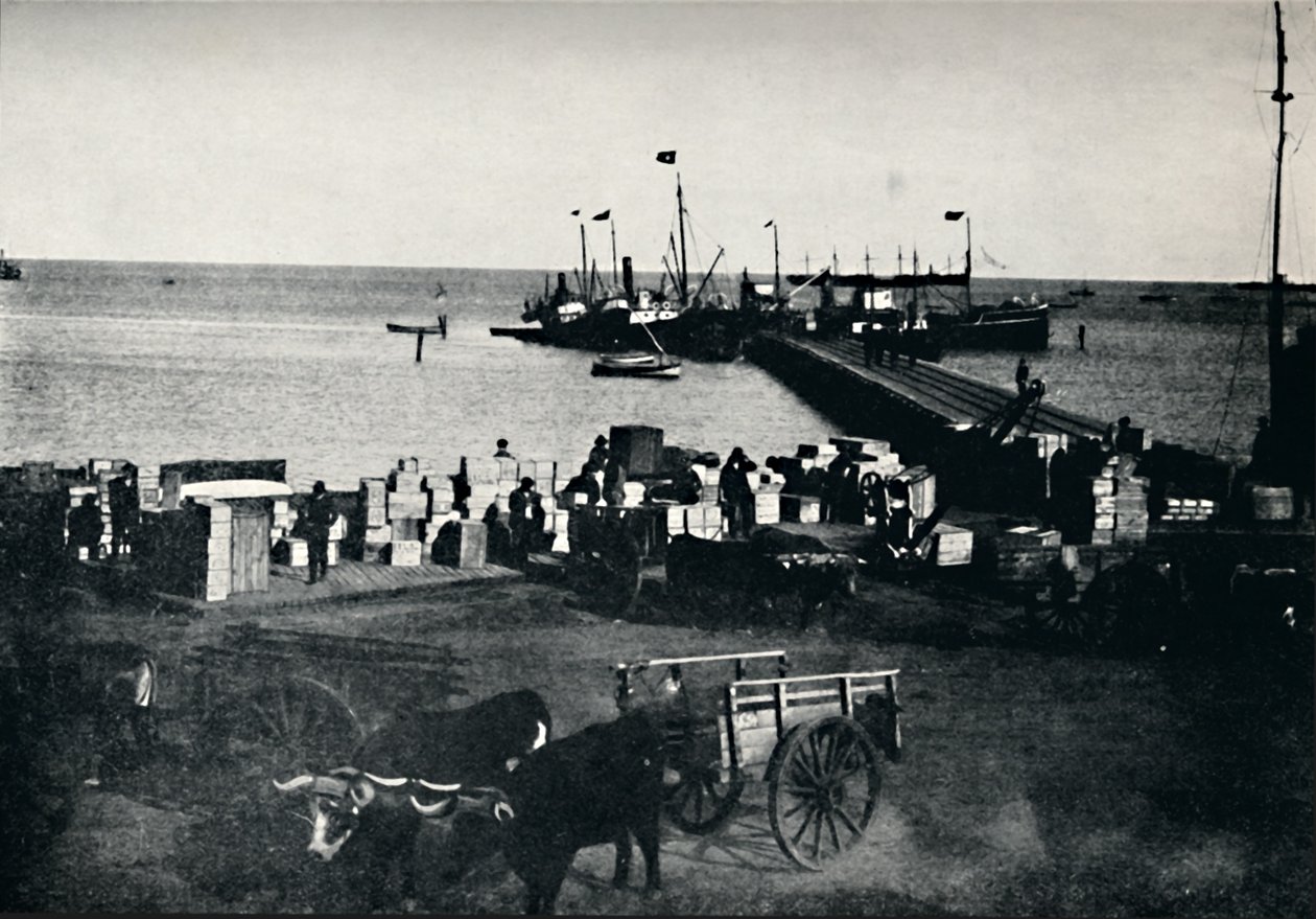 Landingssted, Punta Arenas, 1911 af Unbekannt