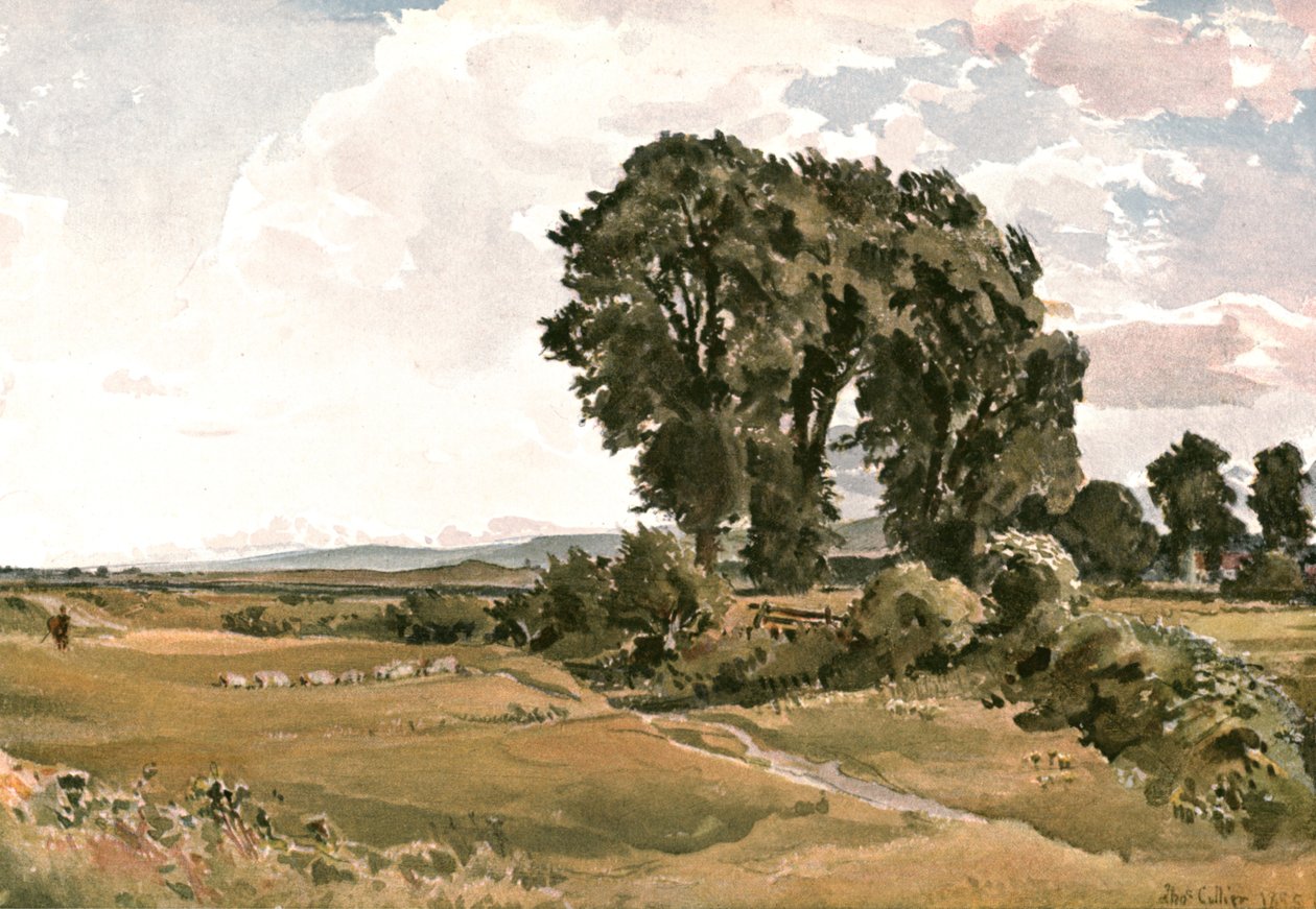 Landskab, nær Wareham, Dorset - en udendørs skitse, c1900. af Unbekannt