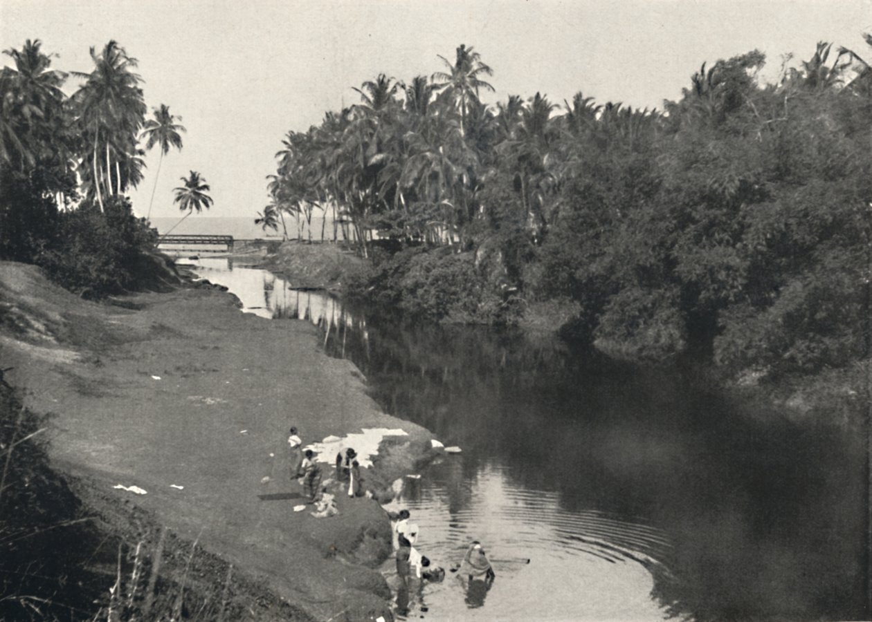 Flodlandskab ved Dehiwala, mellem Colombo og Lavinia-bjerget, 1926 af Unbekannt