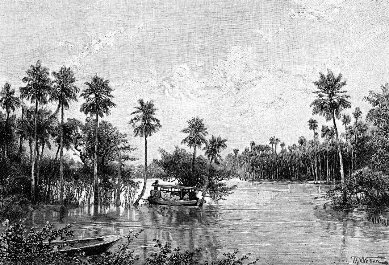 Las Palmes Lagunas, nær mundingen af ​​Pilcomayo, 1895 af Unbekannt