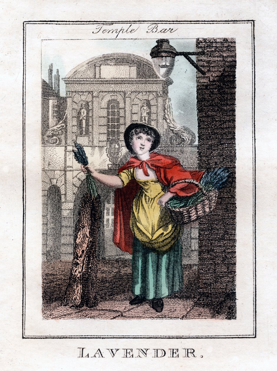 Lavendel, Temple Bar, London, 1805 af Unbekannt