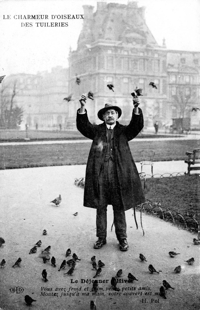 The Tuileries Bird Charmer, 20. århundrede af Unbekannt