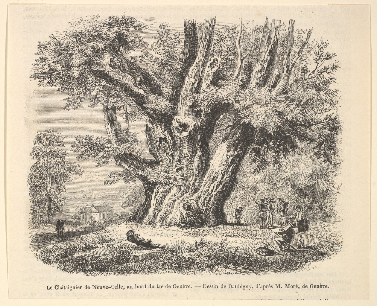 Kastanjetræet i Neuve-Celle, ved bredden af ​​Genèvesøen, efter Daubigny, 1835-78. af Unbekannt