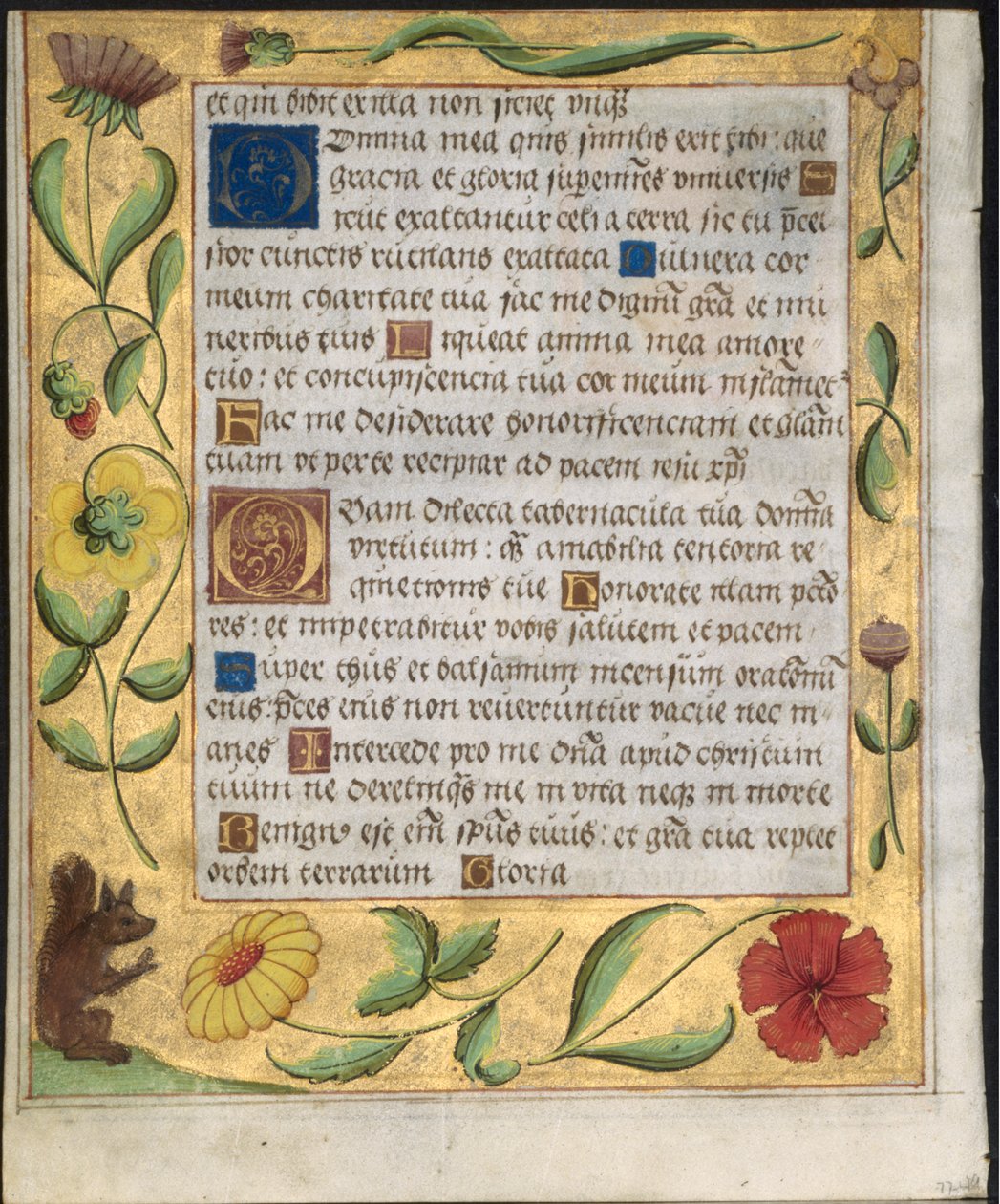 Blad fra en Psalter and Prayerbook: Ornamental Border with Flowers and Egern verso, ca. 1524. af Unbekannt