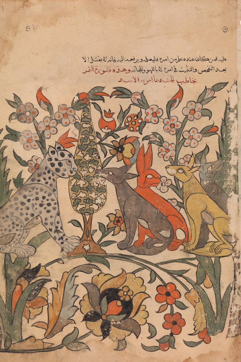 Leopard med løveorden til dommerkolleger, folio 51 recto fra en Kalila wa Dimna, 1700-tallet. af Unbekannt