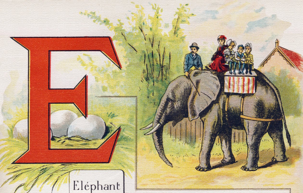 Bogstav E: Elefant. Indgravering i "ABC L